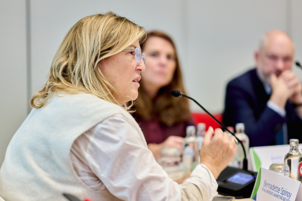 Photo d'une réunion du comité stratégique | Foto van een bijeenkomst van het strategisch comité